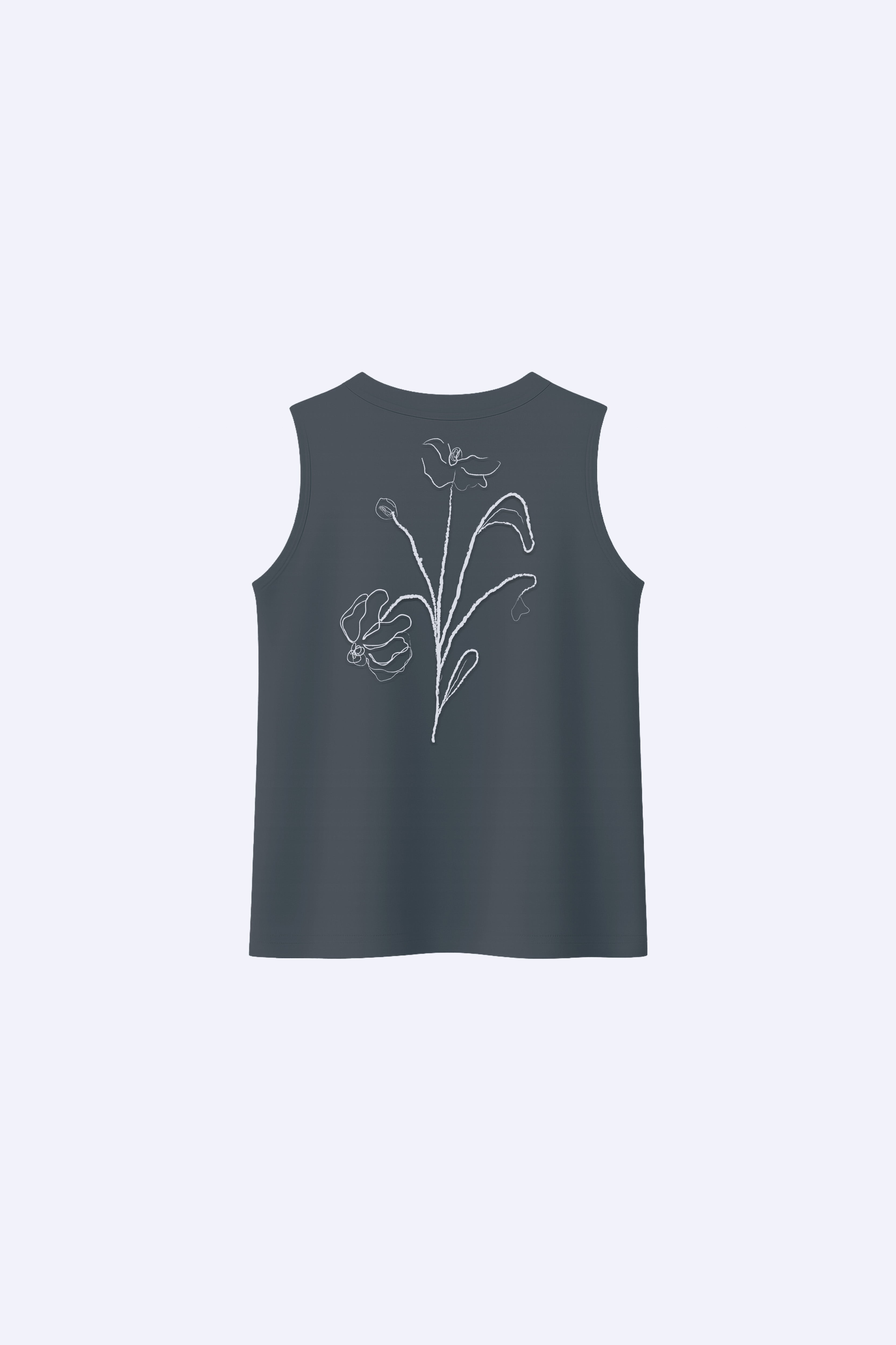 Regata Over Boxy Fases