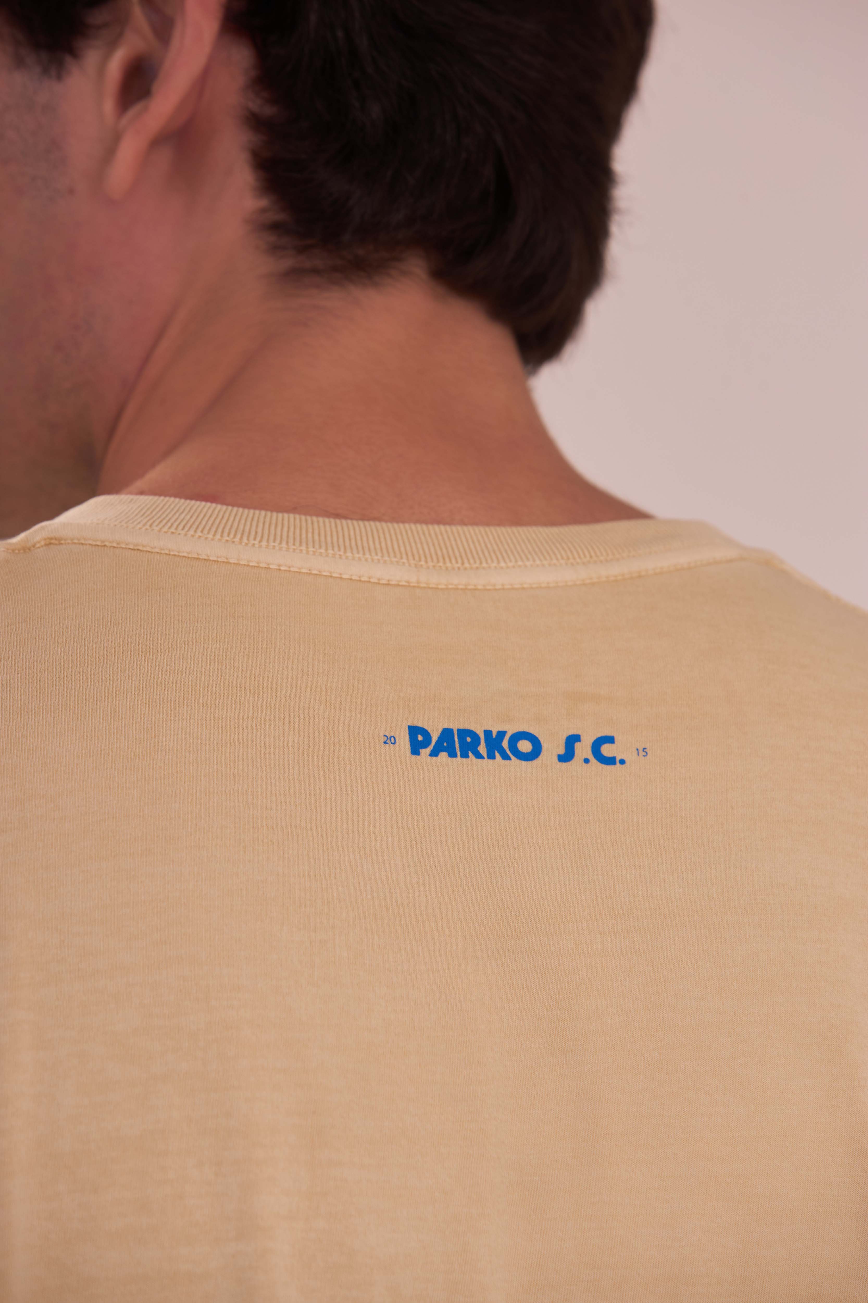 Camiseta Classic Brasil
