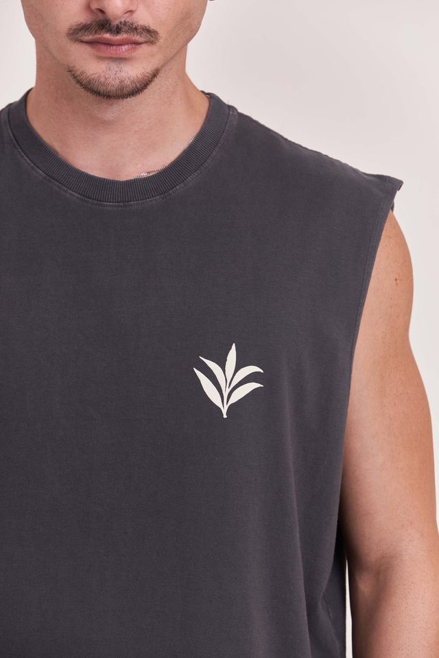 Regata Over Boxy Leaves